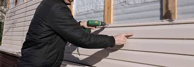 Best Storm Damage Siding Repair  in Clara City, MN